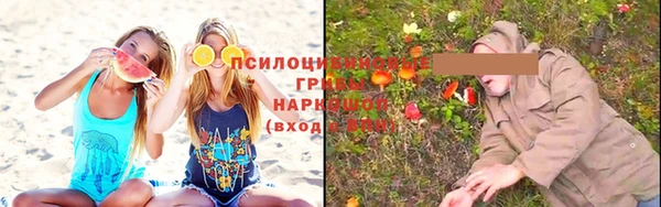 СК Заводоуковск