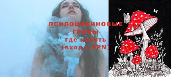СК Заводоуковск