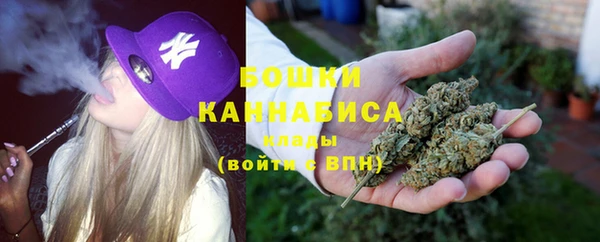 СК Заводоуковск